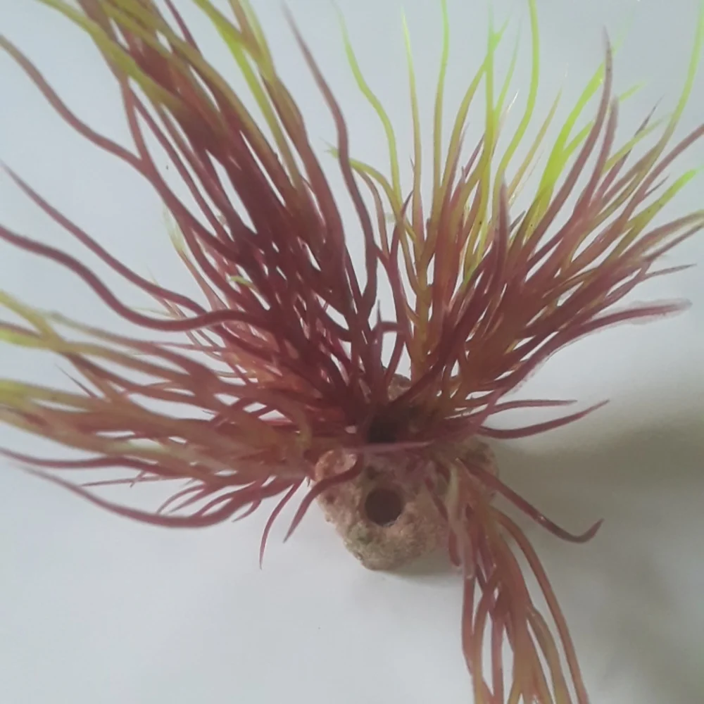 4pc Aquarium Plants